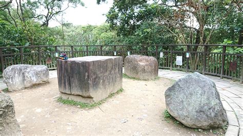 南港公園 能量